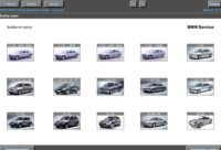 BMW WDS
